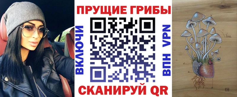 Псилоцибиновые грибы прущие грибы продажа наркотиков Белая Калитва